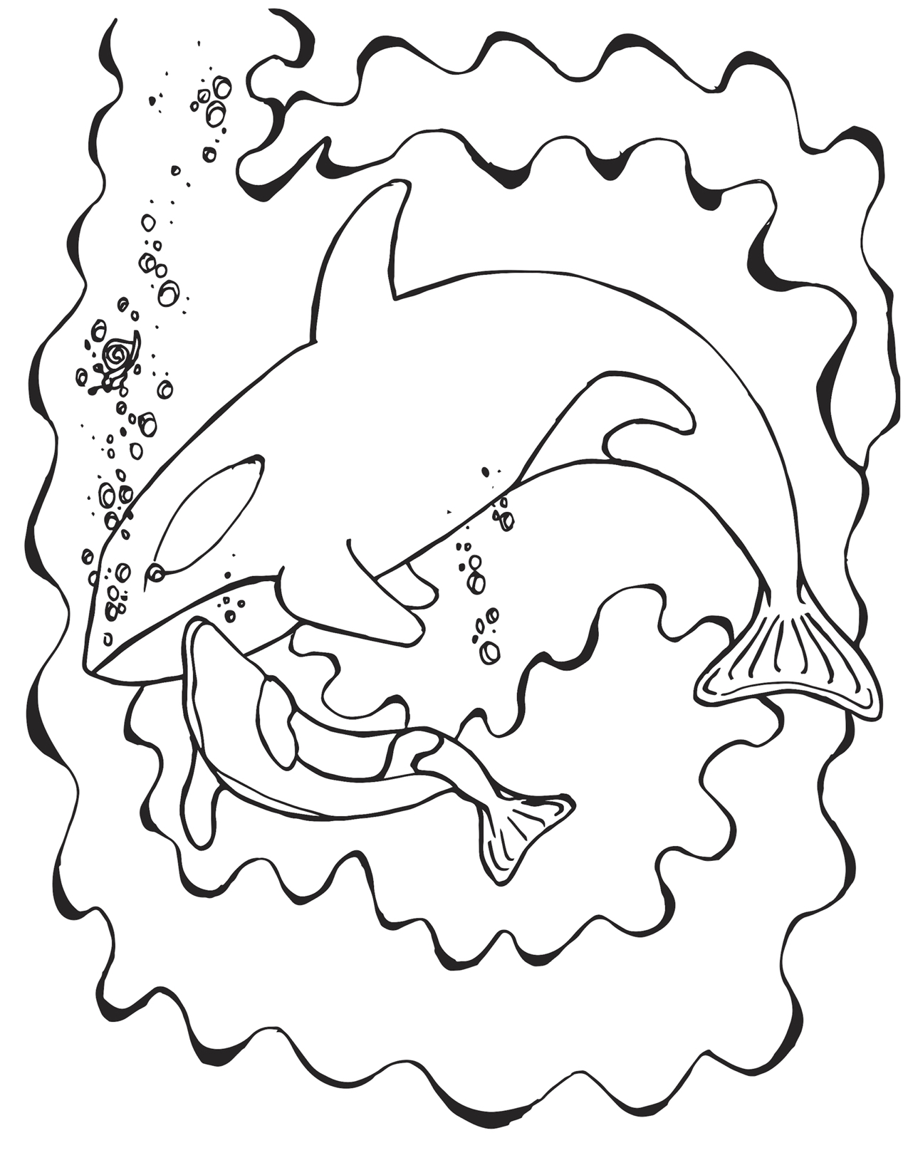 Momma and Baby Orca Whale Cuddling Coloring Page