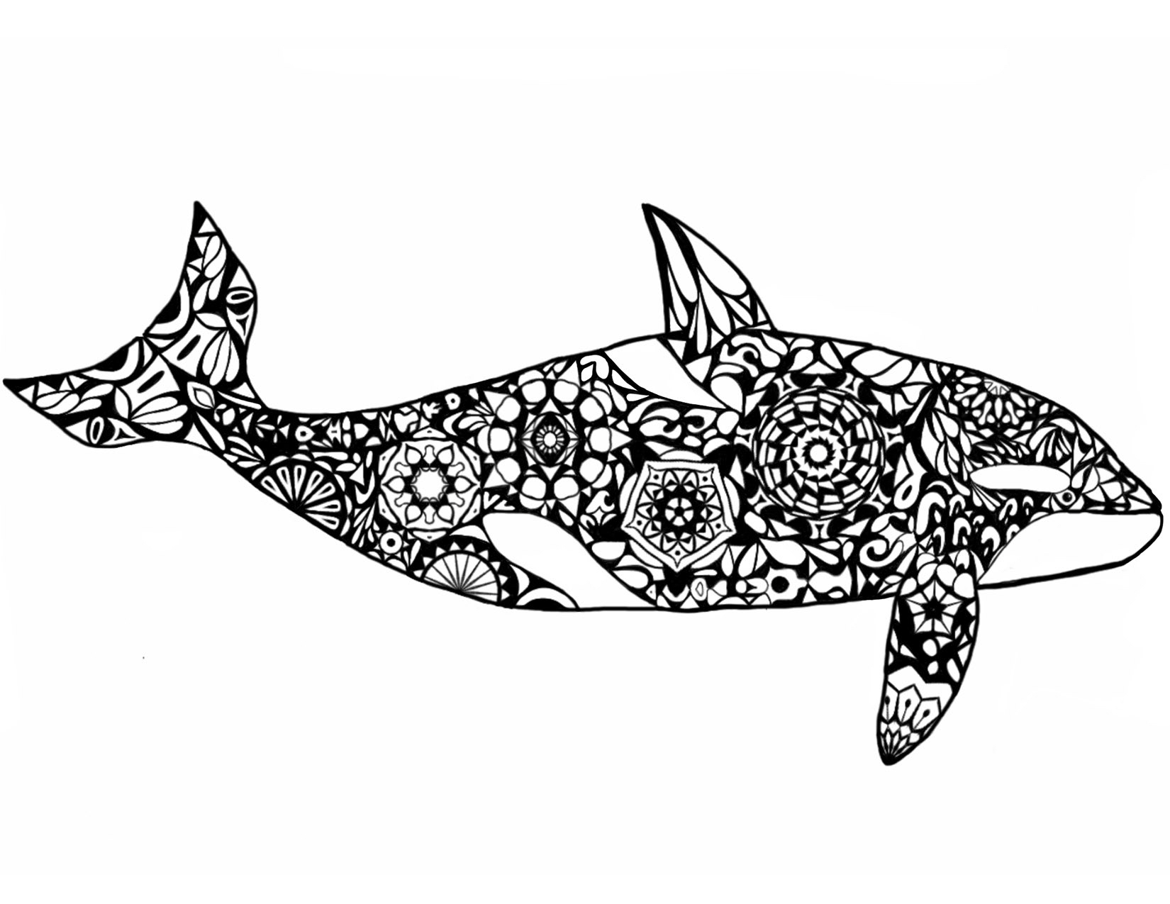 Orca Whale Mosaic Adult Coloring Page