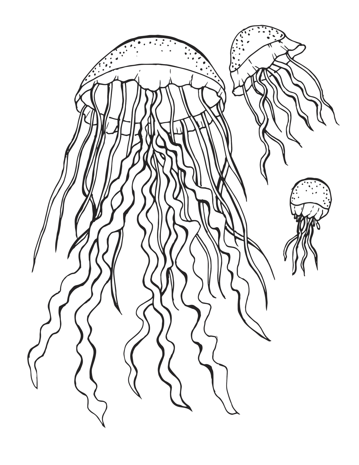 Three Jelly Fish Floating Coloring Page
