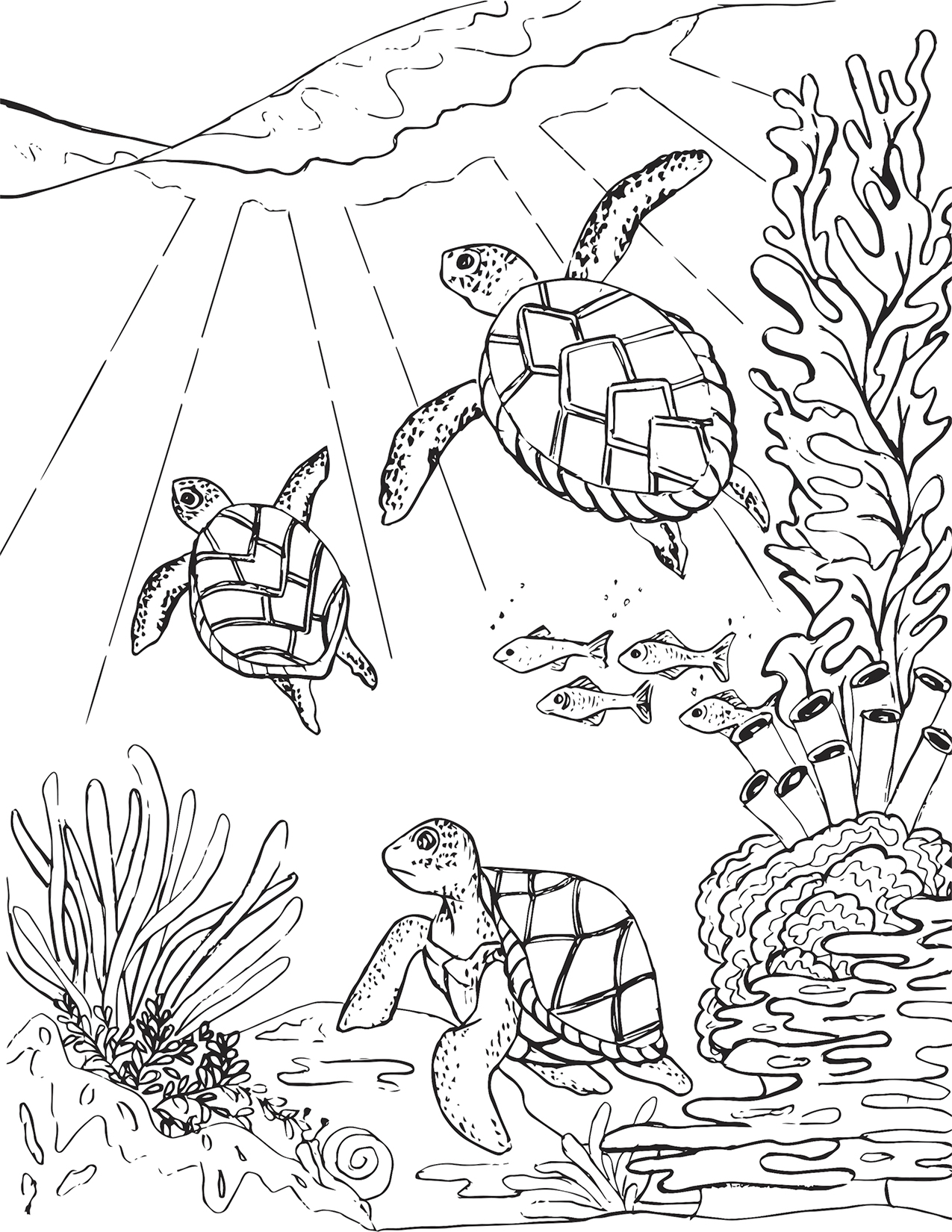 Three Sea Turtles Coloring Page – Mermaid Coloring Pages